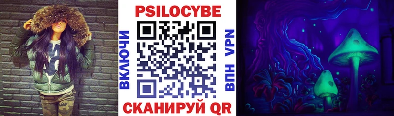 Псилоцибиновые грибы Psilocybine cubensis  Черняховск 