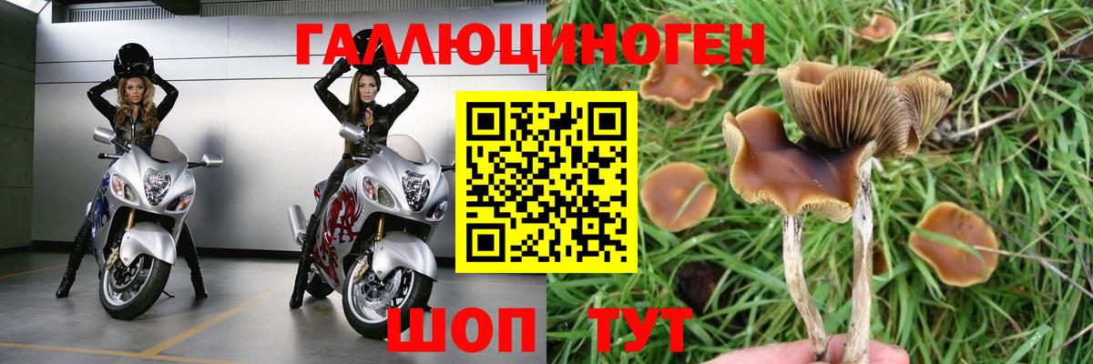 Псилоцибиновые грибы MAGIC MUSHROOMS Черняховск