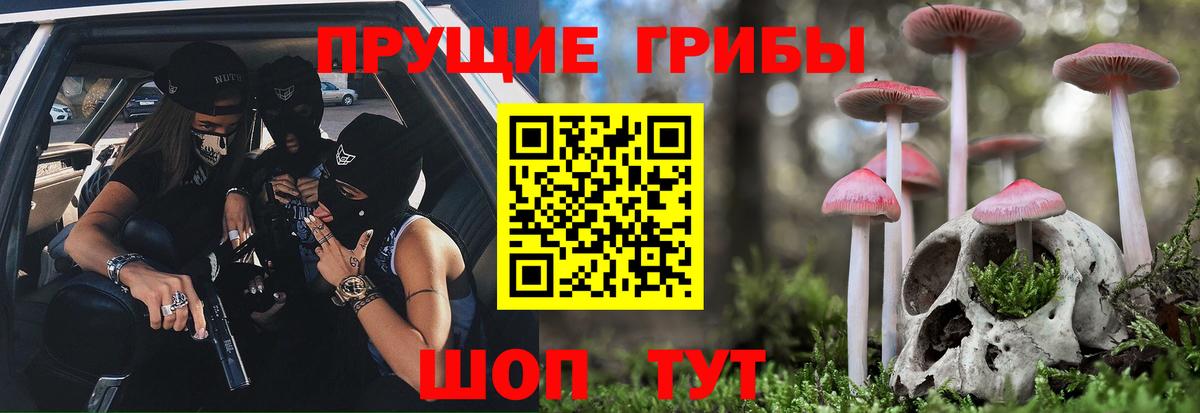 цены   Черняховск  Галлюциногенные грибы Cubensis  Псилоцибиновые грибы ЛСД 