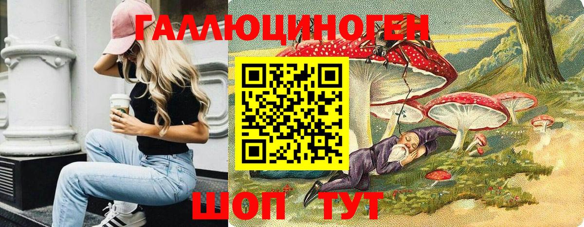 купить   Вход с VPN  Черняховск  Псилоцибиновые грибы Psilocybe 