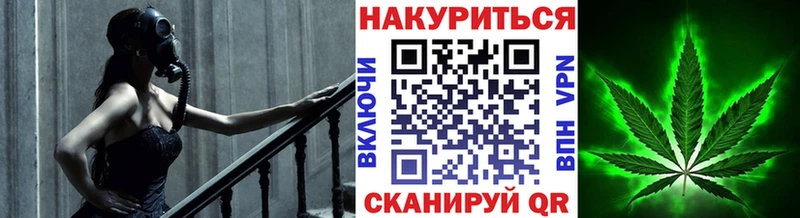 Марихуана сатива  Черняховск 